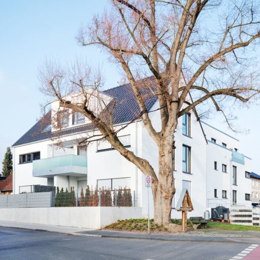 Modernes weißes Wohnhaus mit großem Baum davor.